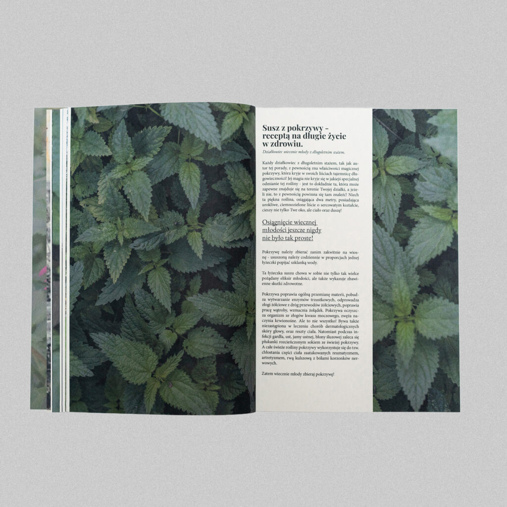 editorial design mallorca